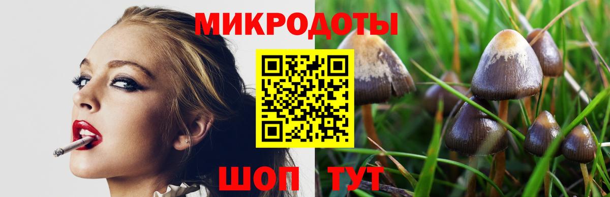 Галлюциногенные грибы Psilocybe Нижний Тагил